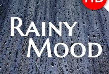 坚果云网盘APP推荐-Rainy Mood-坚果芸