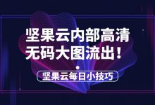 坚果云内部高清无码大图流出!-坚果芸