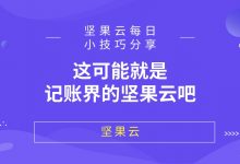 这可能就是记账界的坚果云吧-坚果芸