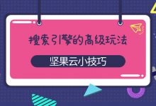 搜索引擎的高级玩法-坚果芸